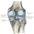 Thumbnail for version as of 02:35, 31 January 2012