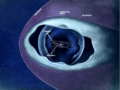 Voyagers 1 and 2 leave the solar system