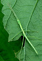 Thumbnail for version as of 02:53, 3 December 2009