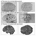 Thumbnail for version as of 16:51, 9 December 2010