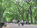 Thumbnail for version as of 05:03, 22 April 2009