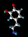 Thumbnail for version as of 05:10, 23 October 2009