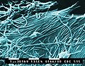 Thumbnail for version as of 05:16, 18 May 2009
