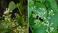 Thumbnail for version as of 01:13, 6 October 2014