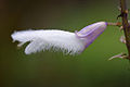 Thumbnail for version as of 23:57, 21 April 2011