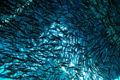 Thumbnail for version as of 23:50, 27 December 2007