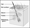 Thumbnail for version as of 07:37, 3 January 2010