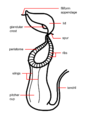 Thumbnail for version as of 17:27, 8 June 2015