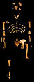 Thumbnail for version as of 23:36, 5 October 2008
