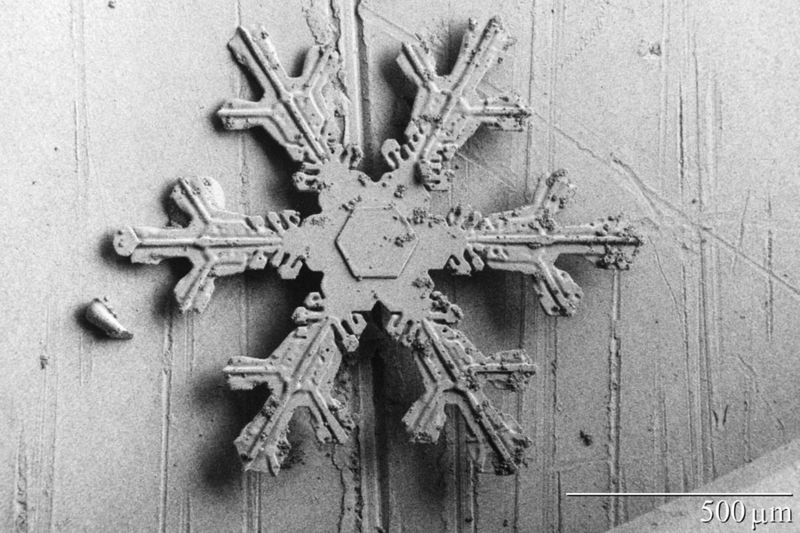 Fichier:Snowflake.jpg