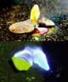 Thumbnail for version as of 22:38, 1 December 2006