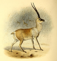 Thumbnail for version as of 08:27, 3 December 2014