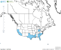 Periwinkle distribution.jpg.png