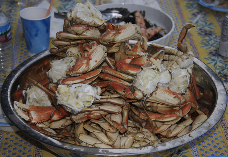 File:105059923 89dcff4650 b.jpg