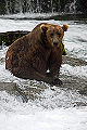 Thumbnail for version as of 03:13, 30 November 2011