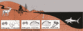 Thumbnail for version as of 16:57, 23 September 2006