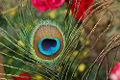 Thumbnail for version as of 04:47, 13 March 2008