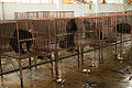 Thumbnail for version as of 18:48, 8 May 2013