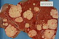 Thumbnail for version as of 05:50, 3 April 2009