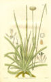 Thumbnail for version as of 05:48, 2 January 2007