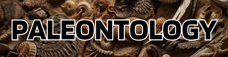 File:Paleontology portal header.png