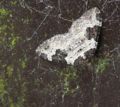Thumbnail for version as of 05:18, 7 May 2007