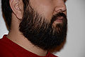 Thumbnail for version as of 07:07, 9 May 2013