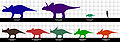 Ceratops sizes