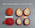 Thumbnail for version as of 06:42, 10 May 2012