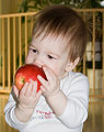 Thumbnail for version as of 08:59, 15 March 2010