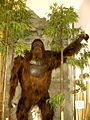Thumbnail for version as of 22:22, 23 November 2008