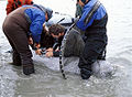 Thumbnail for version as of 05:09, 4 February 2011