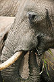 Thumbnail for version as of 04:20, 25 February 2013