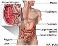 Thumbnail for version as of 03:59, 2 November 2012