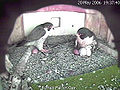 Thumbnail for version as of 23:56, 17 February 2010