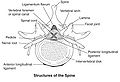 Thumbnail for version as of 10:13, 26 October 2009