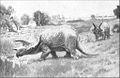 Triceratops painting.jpg
