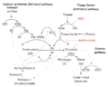 Thumbnail for version as of 04:32, 16 November 2008