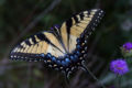 Thumbnail for version as of 22:53, 15 January 2007
