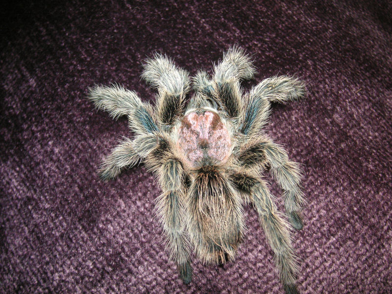 File:774335728 d716bbbb69 b.jpg