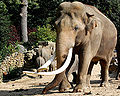 Thumbnail for version as of 22:25, 9 February 2010