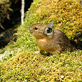 Thumbnail for version as of 00:28, 3 February 2011