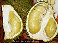 Thumbnail for version as of 01:42, 19 May 2010