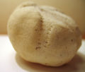 Sea Potato (Echinocardium cordatum ) Family: Spatangidae