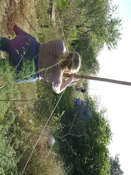 File:Mistnet.jpg