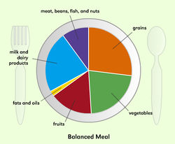 This is an idea of what a nutritionist would give a client to show them how a healthy diet should look.
