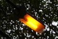 Thumbnail for version as of 14:04, 12 October 2006