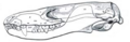 Thumbnail for version as of 18:43, 2 January 2009
