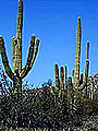 Thumbnail for version as of 05:14, 9 January 2007