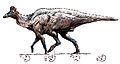 Corythosaurus